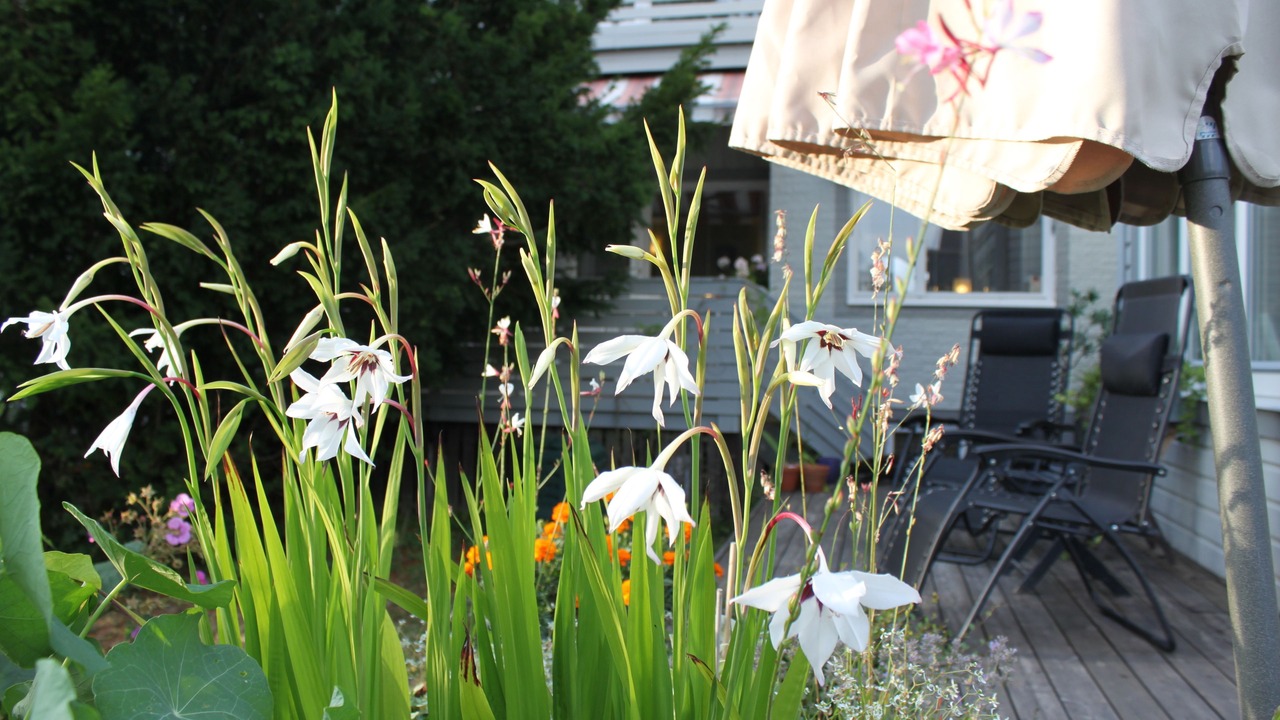 Photo of Outdoor in Bohult