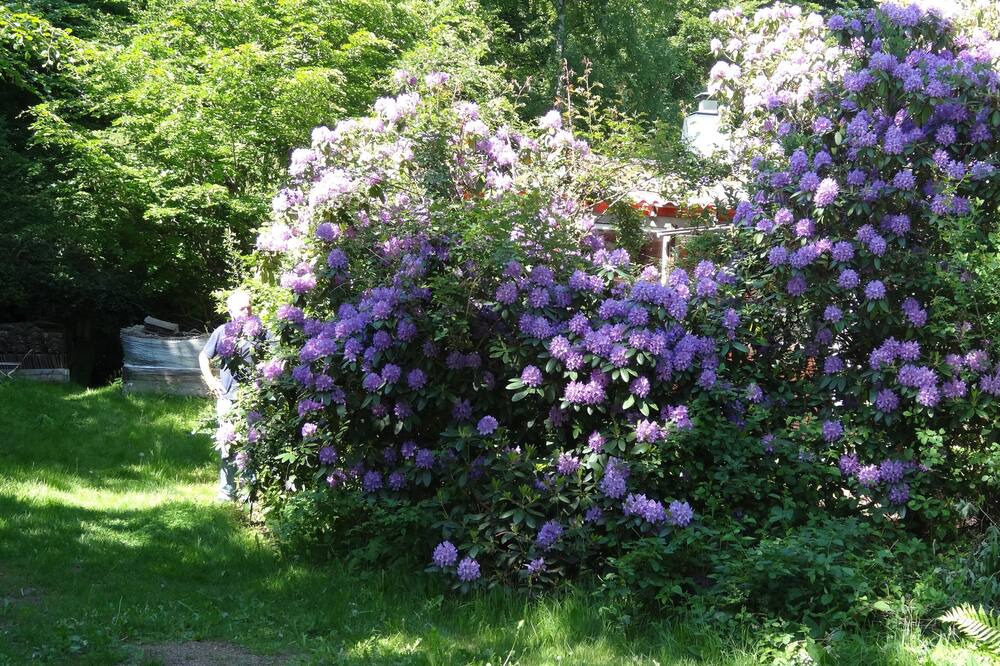 Photo of Outdoor in Torna-Hallestad