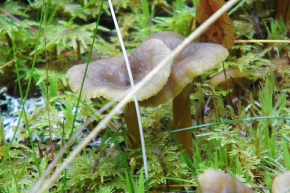 Photo of Outdoor in Fagerhult