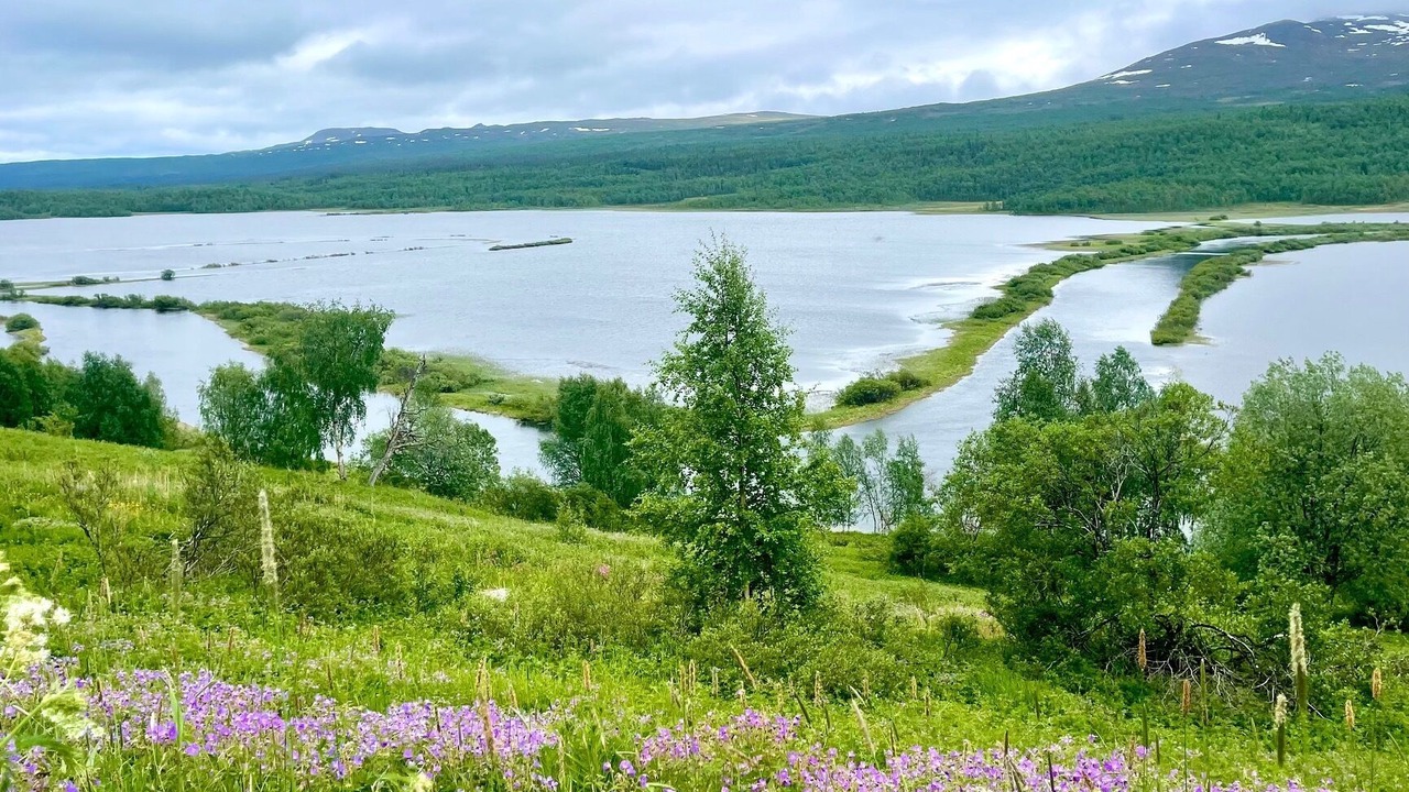 Photo of Outdoor in Klimpfjall