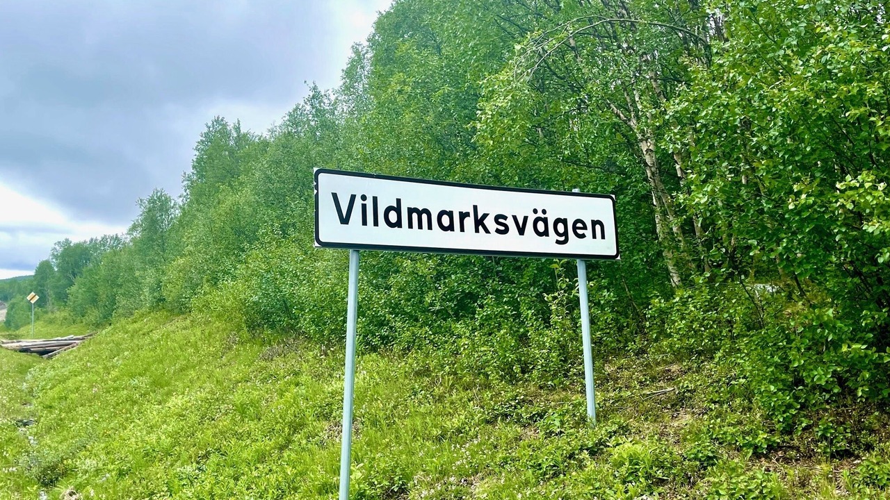 Photo of Others in Klimpfjall