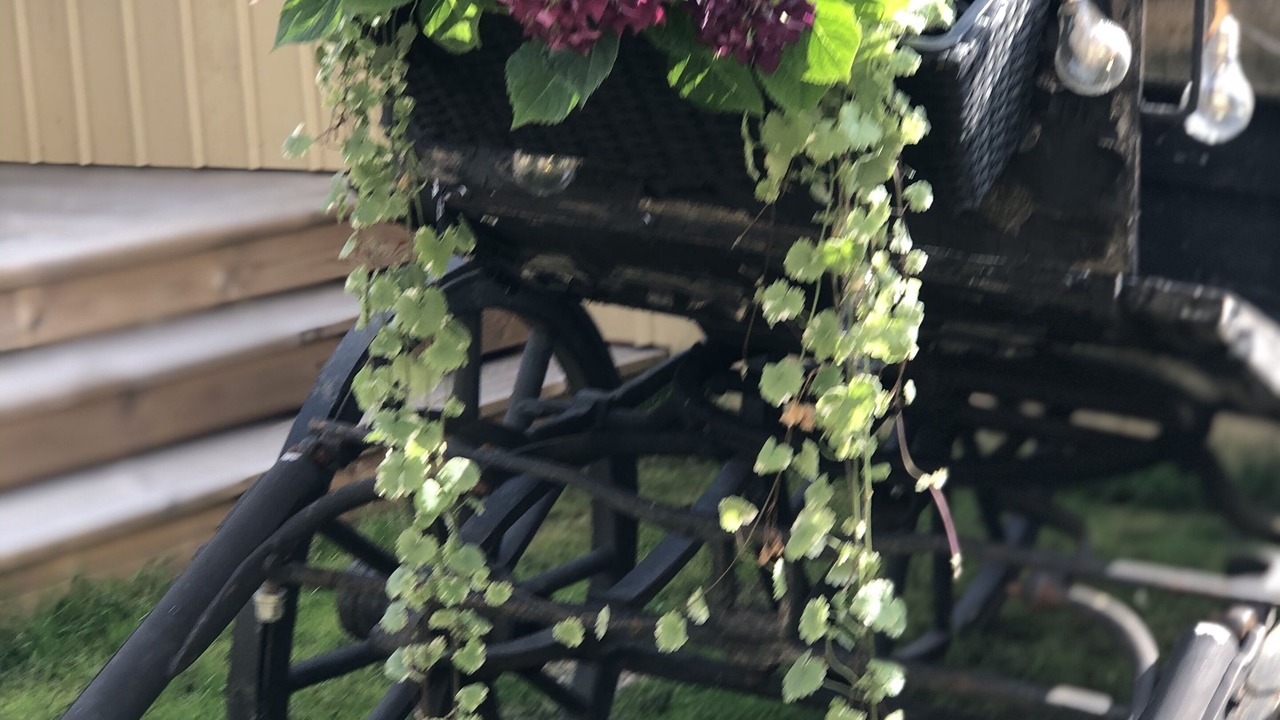 Photo of Patio Balcony in Norra Skara