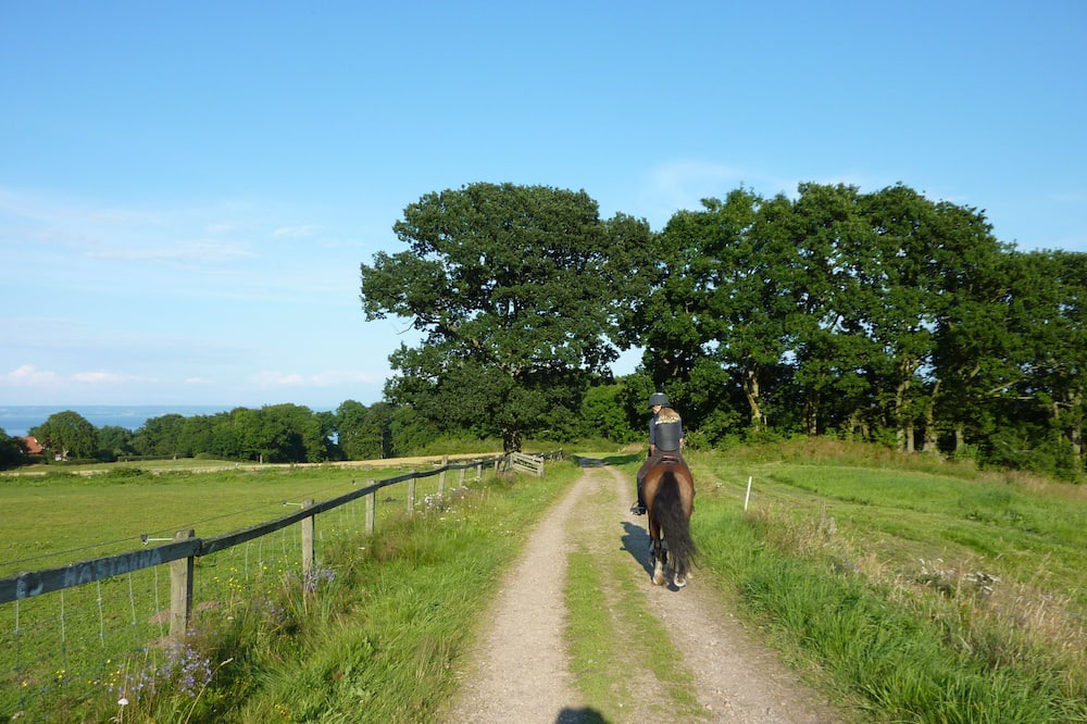 Photo of Outdoor in Nyhamnslage