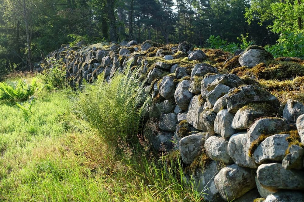 Photo of Outdoor in Fagelmara