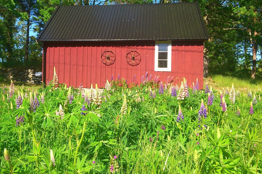Photo of Outdoor in Fagelmara