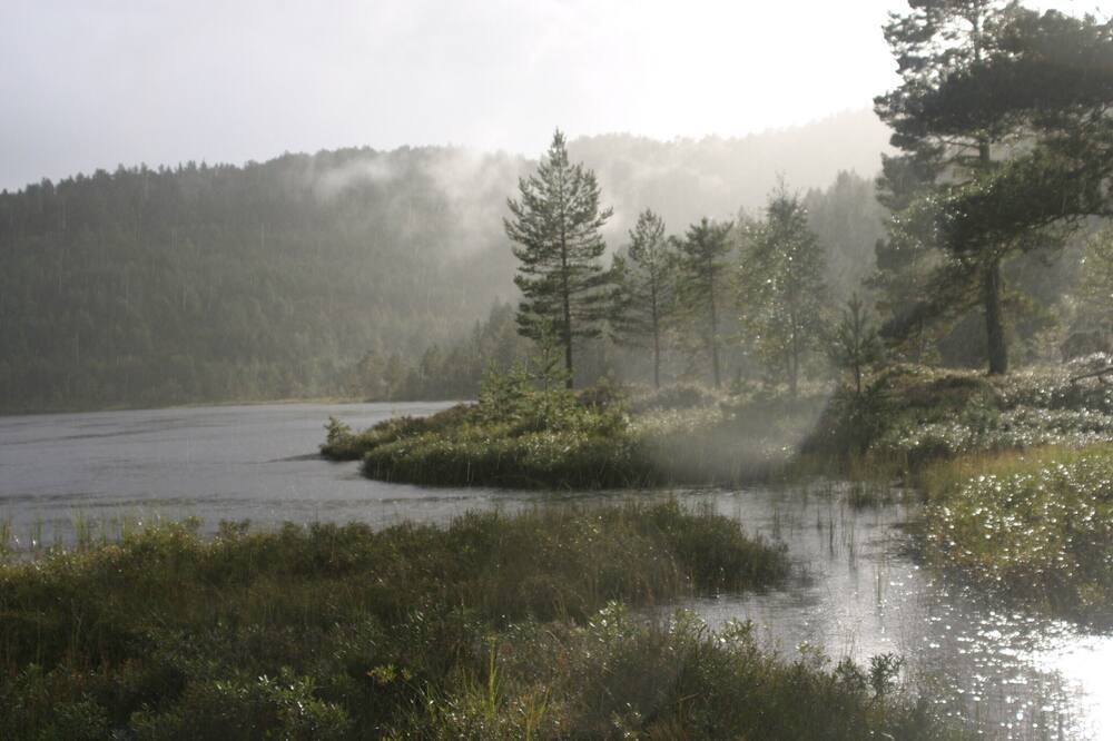 Photo of Others in Nissedal