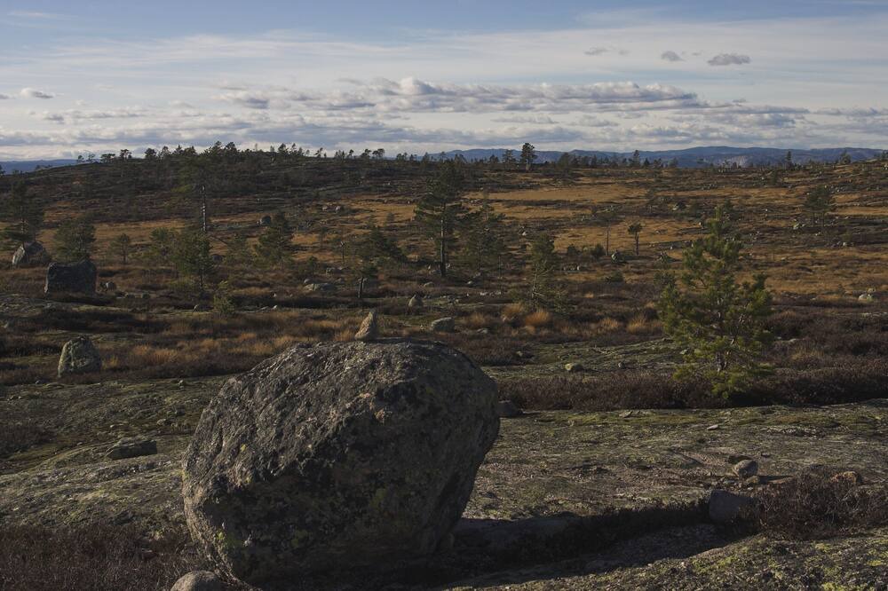 Photo of Others in Nissedal