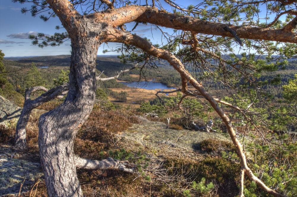 Photo of Outdoor in Nissedal