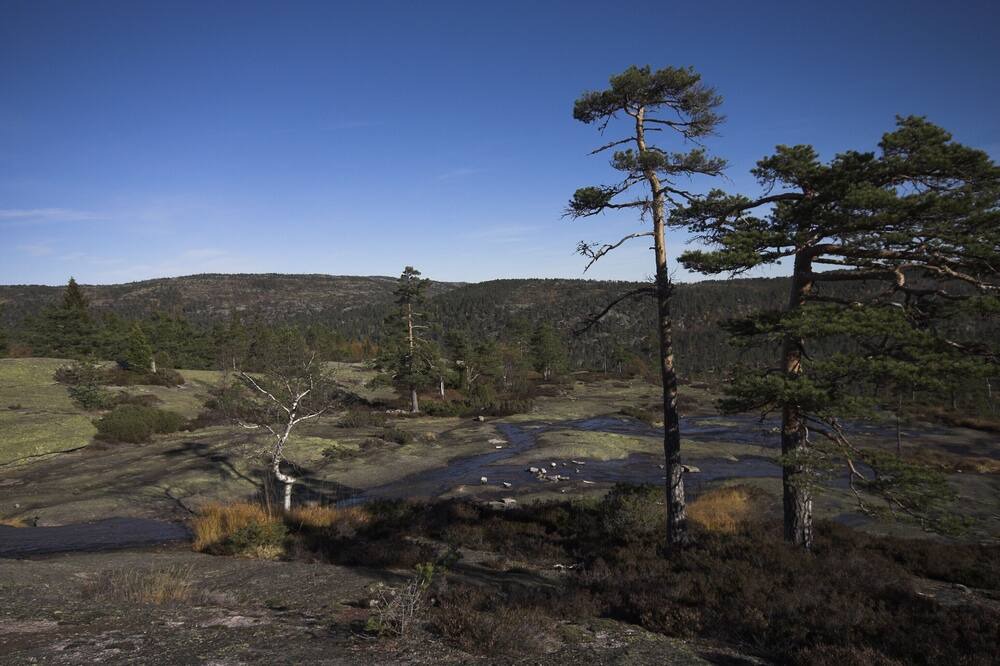 Photo of Outdoor in Nissedal
