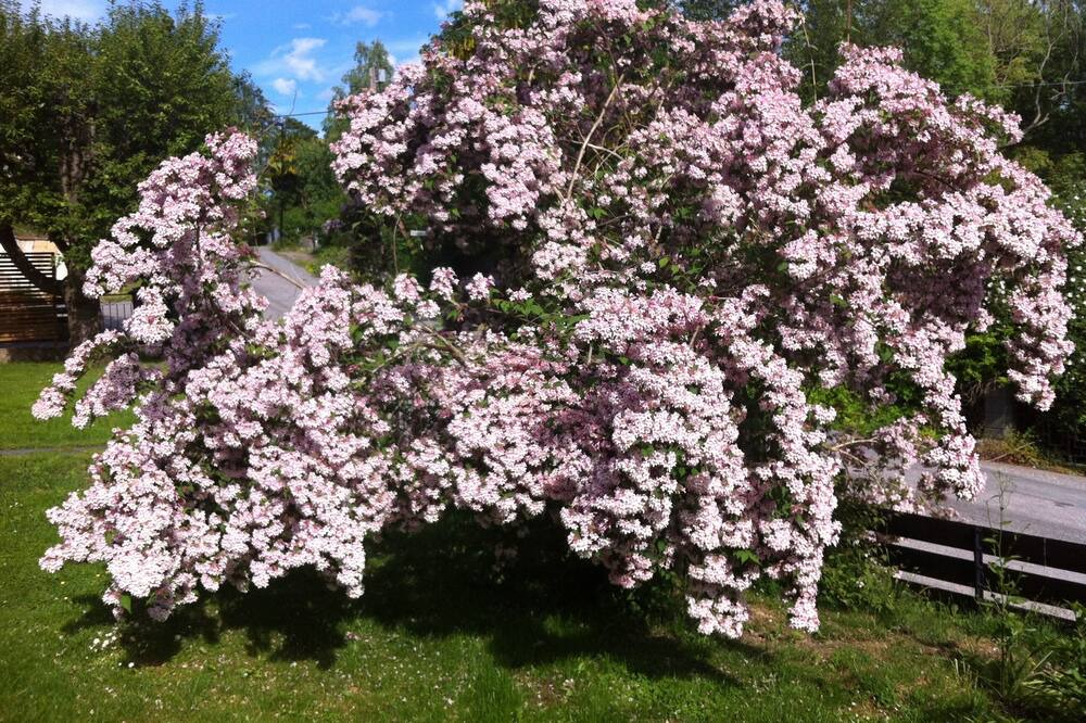 Photo of Outdoor in Ektorp