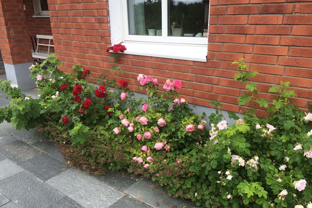 Photo of Outdoor in Ektorp