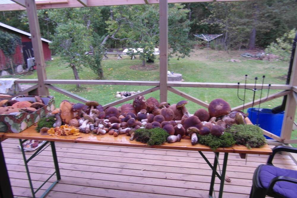 Photo of Patio Balcony in Ryd