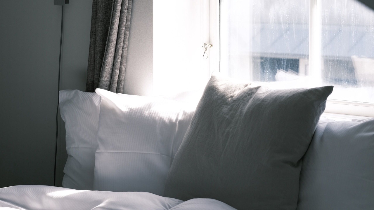 Photo of Bedroom in Hono