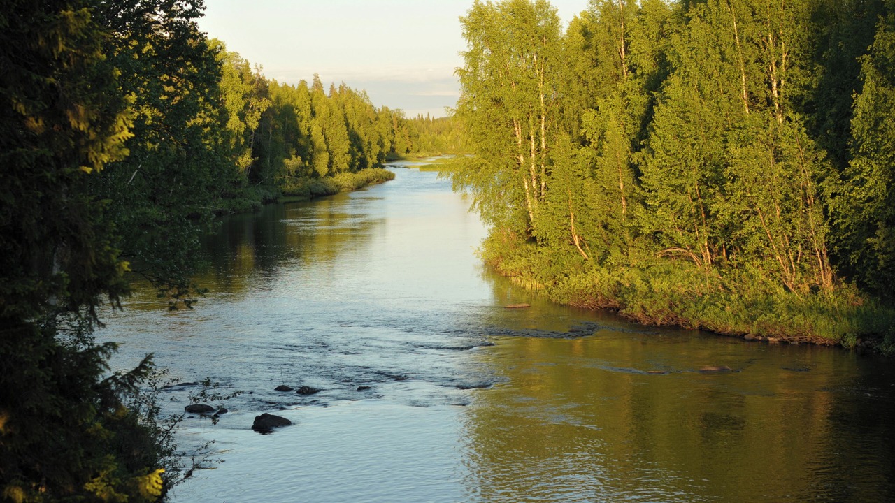 Photo of Outdoor in Svansele