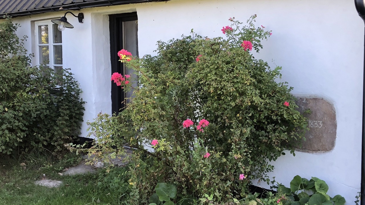 Photo of Outdoor in Simrishamn