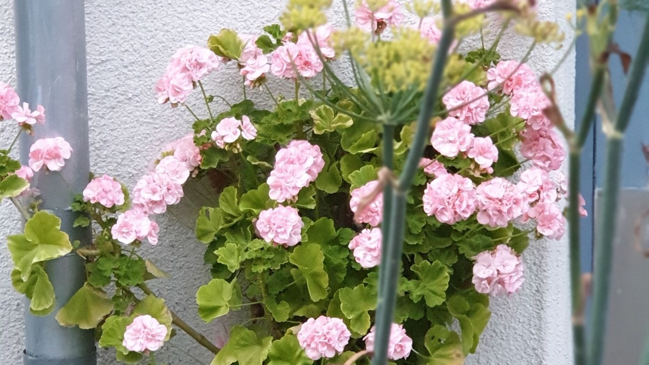 Photo of Outdoor in Slite