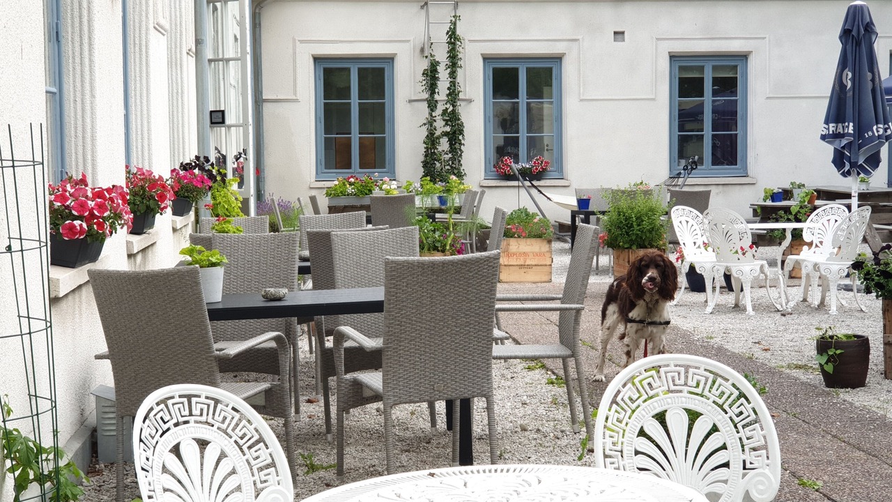 Photo of Outdoor in Slite