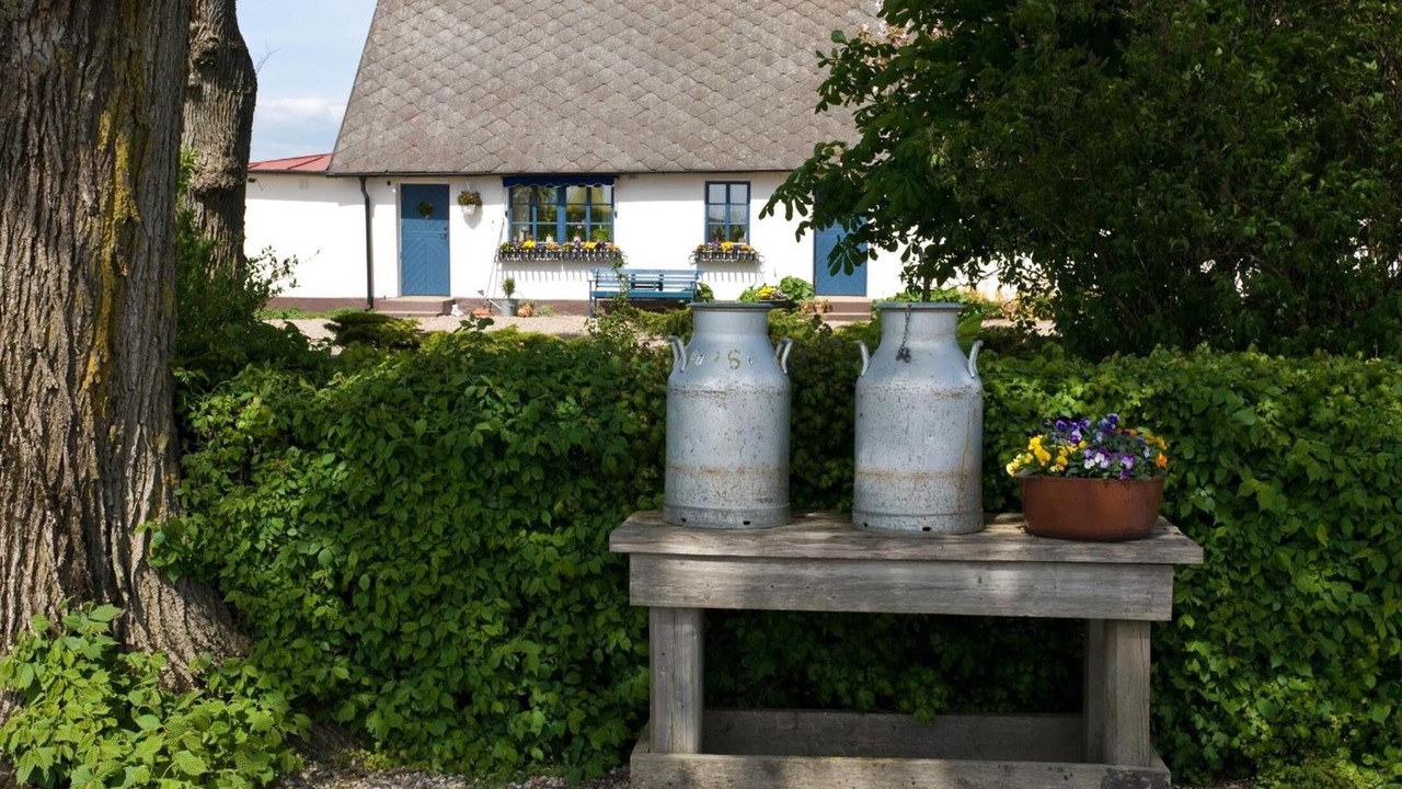 Photo of Outdoor in Loderup