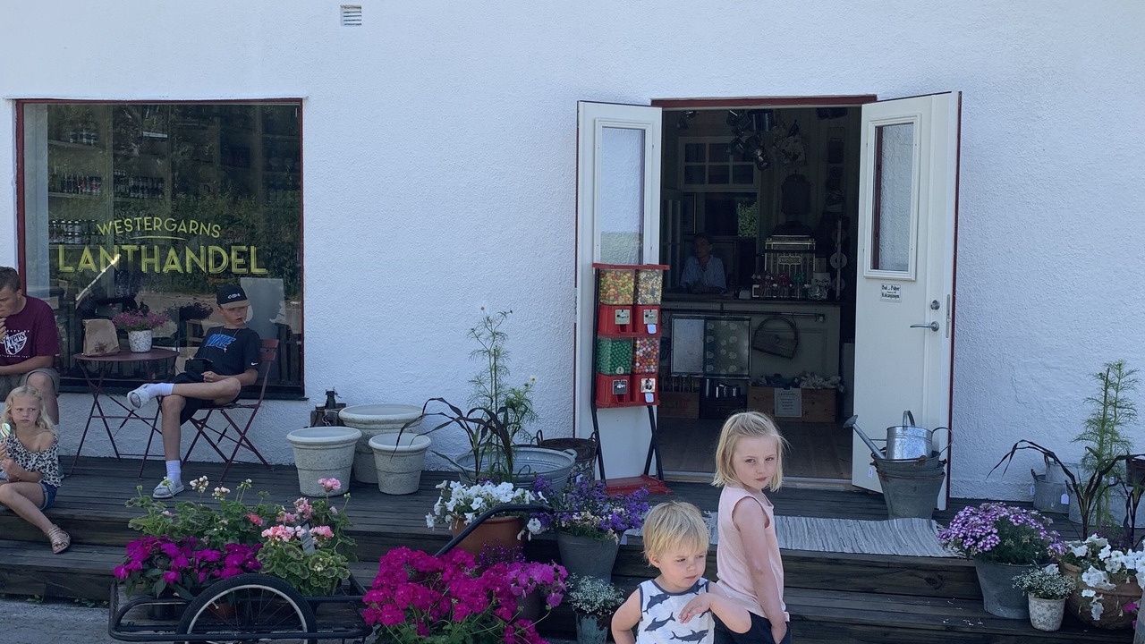 Photo of Others in Gotlands Tofta