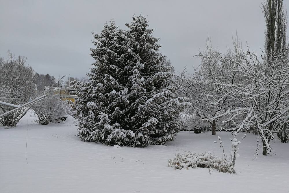 Photo of Outdoor in Docksta