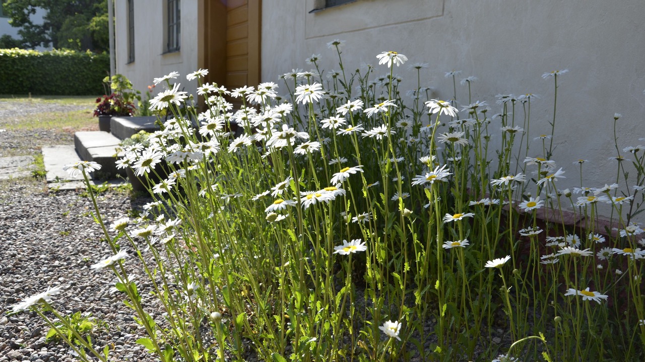 Photo of Outdoor in Vadstena