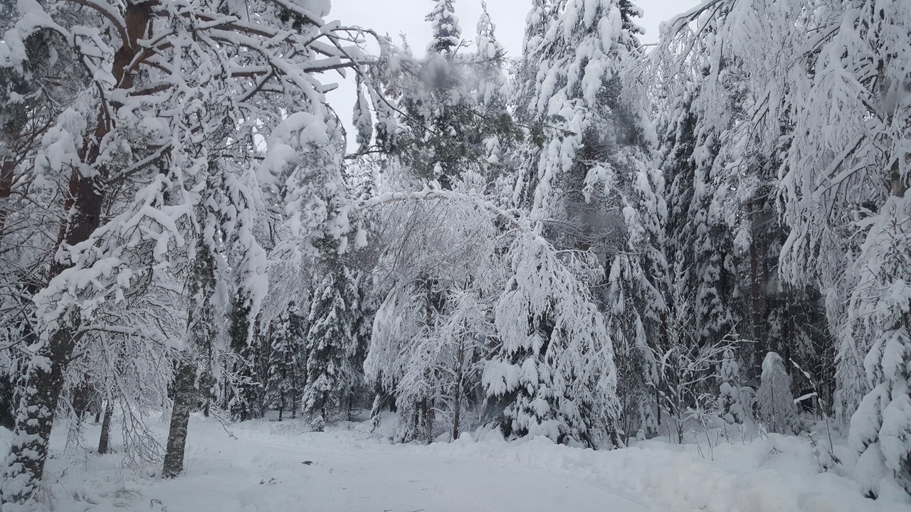 Photo of Outdoor in Borlange