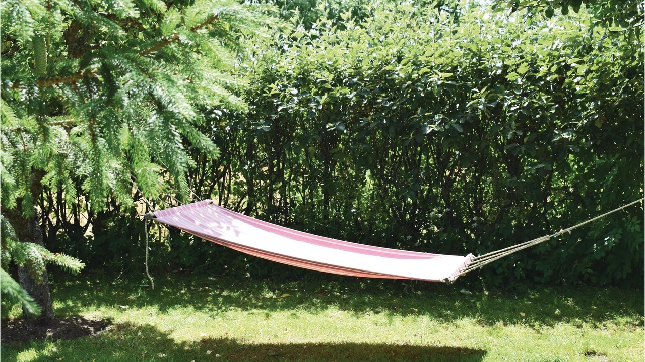 Photo of Others in Harplinge