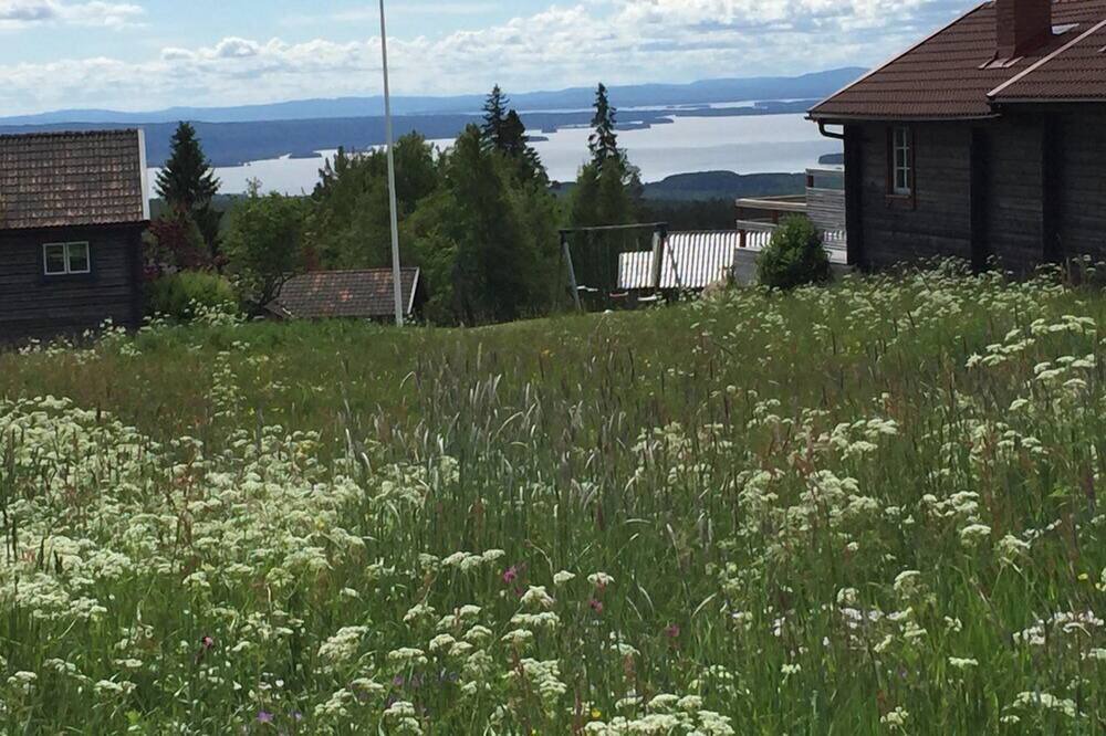 Photo of Others in Fryksas