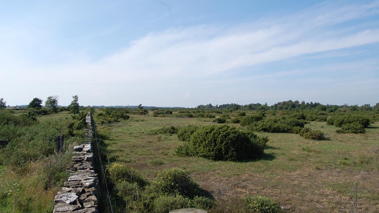 Photo of Outdoor in Morbylanga