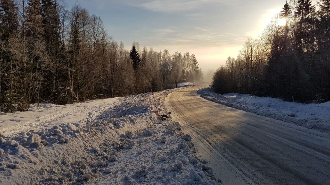 Photo of Others in Bjorna