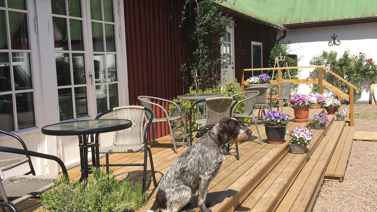 Photo of Patio Balcony in Laholm