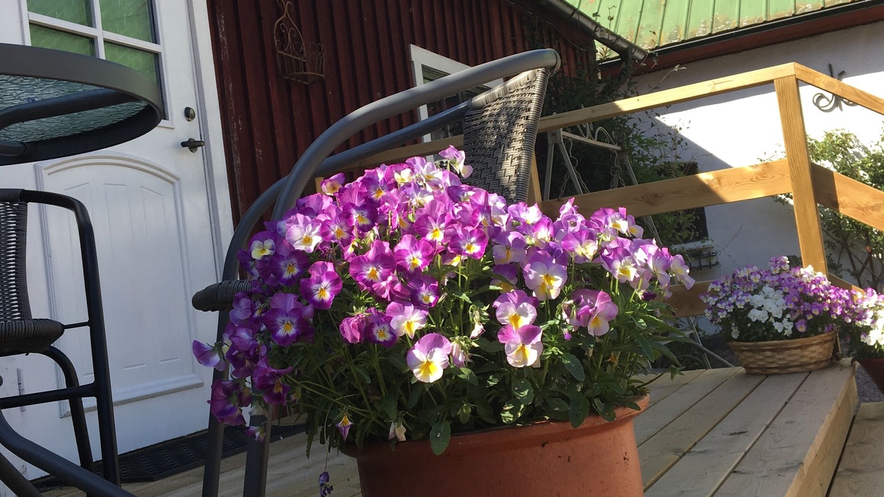 Photo of Patio Balcony in Laholm