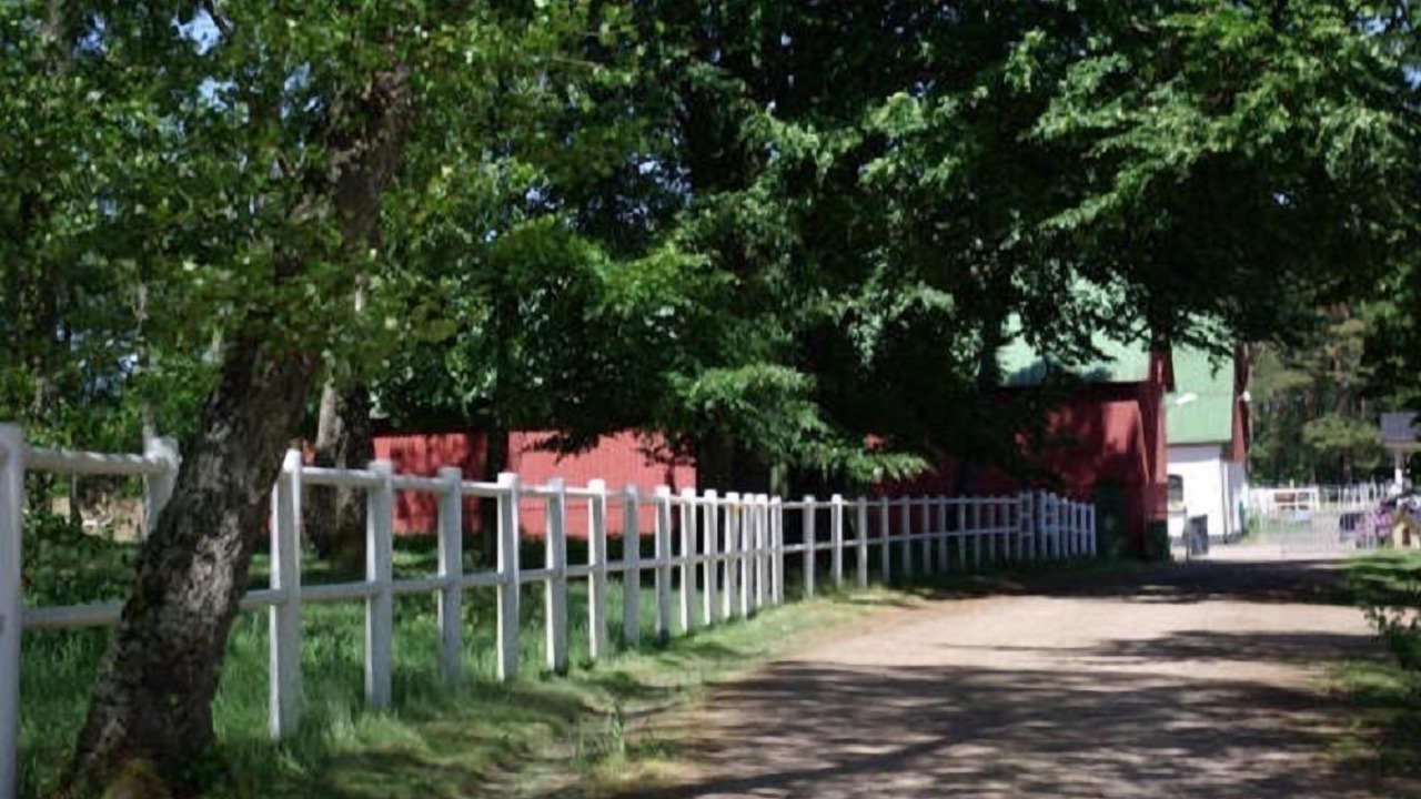 Photo of Outdoor in Laholm