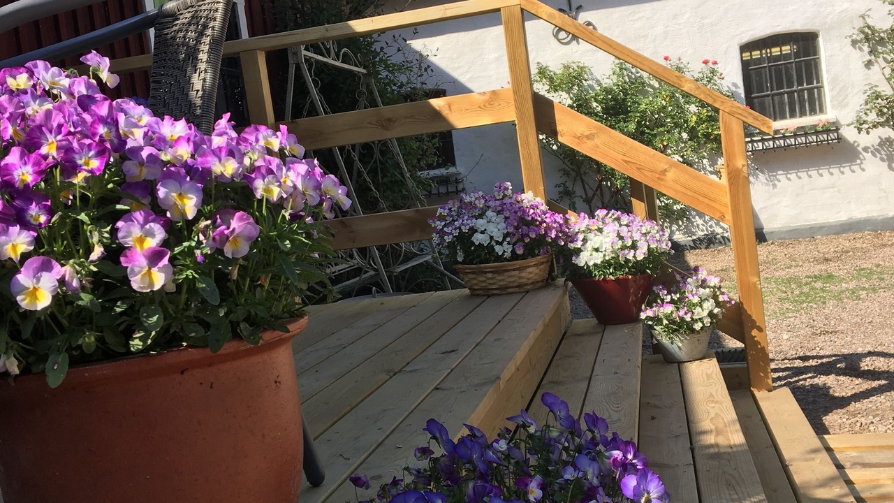 Photo of Outdoor in Laholm