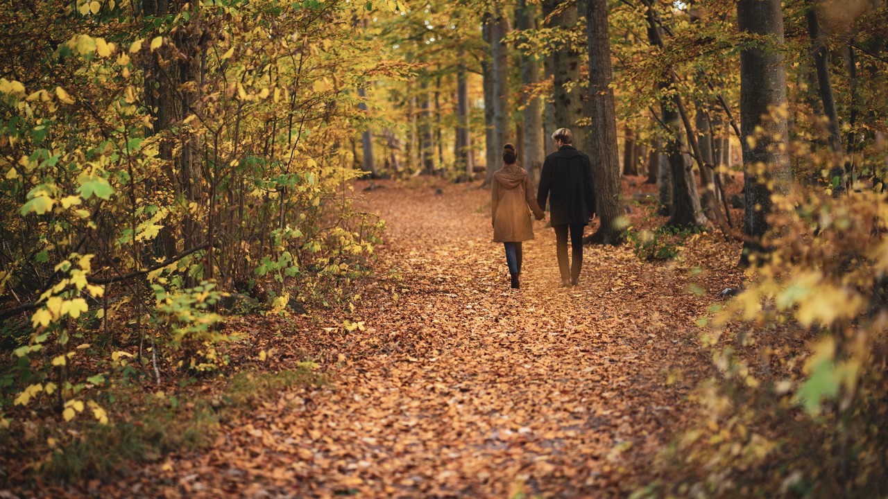 Photo of Outdoor in Borgholm