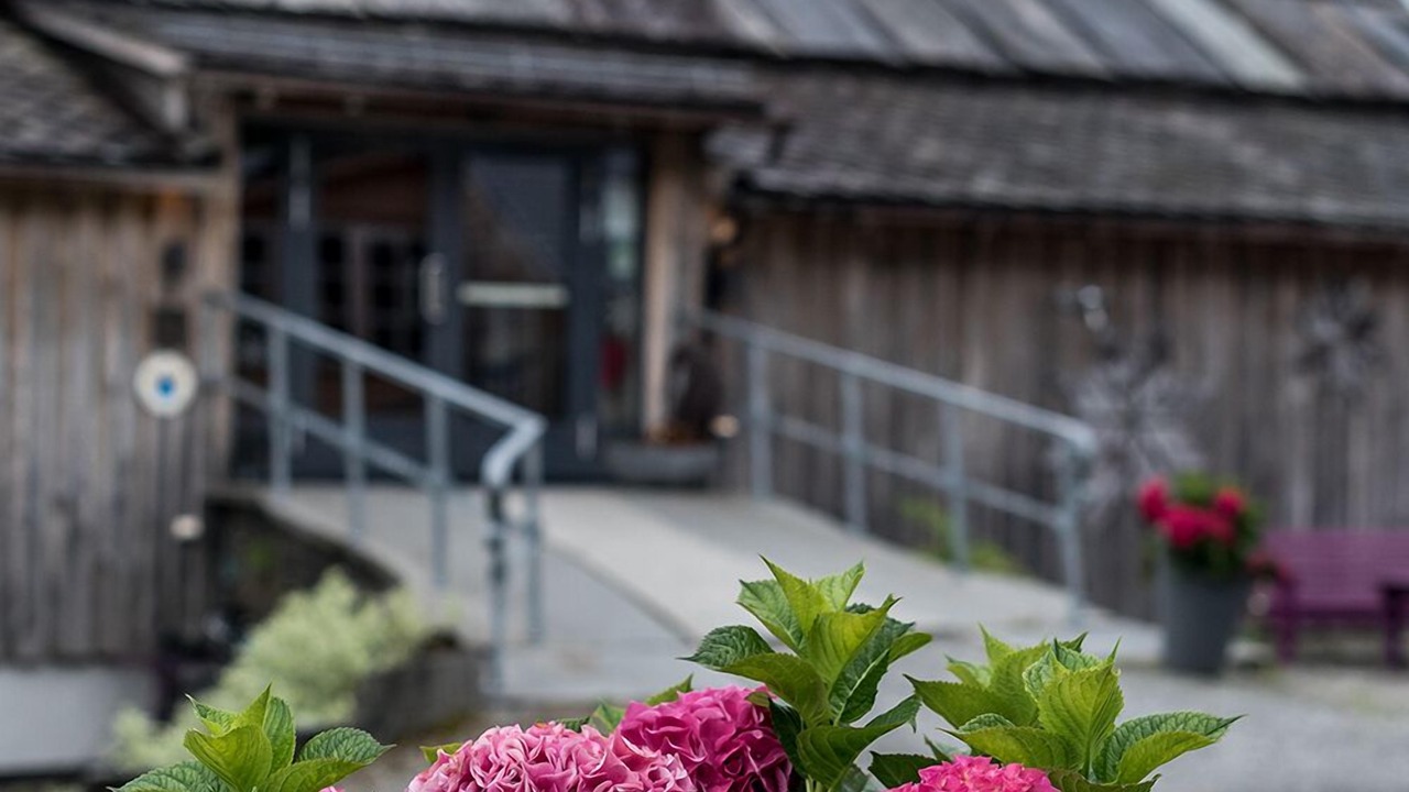 Photo of Outdoor in Voss