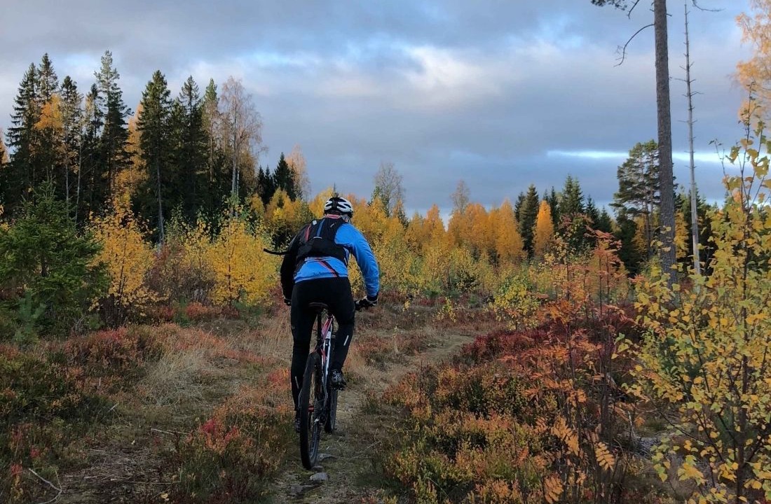 Photo of Outdoor in Siljansnas
