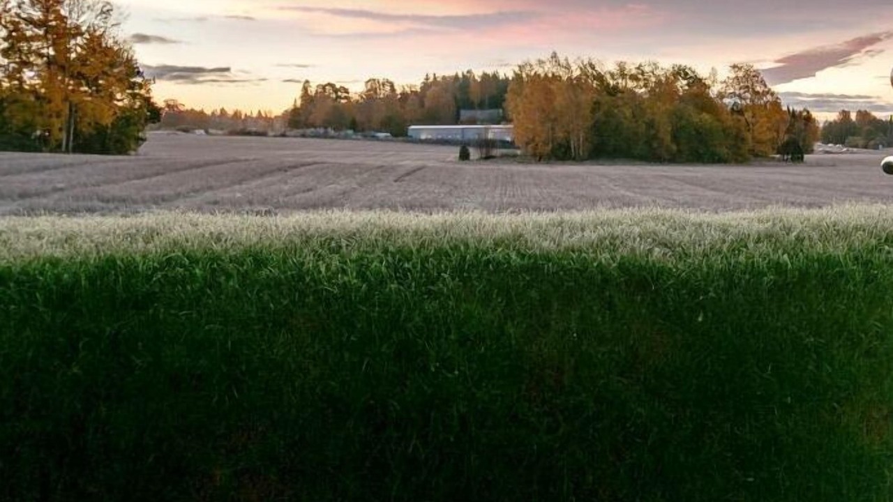 Photo of Outdoor in Nykvarn