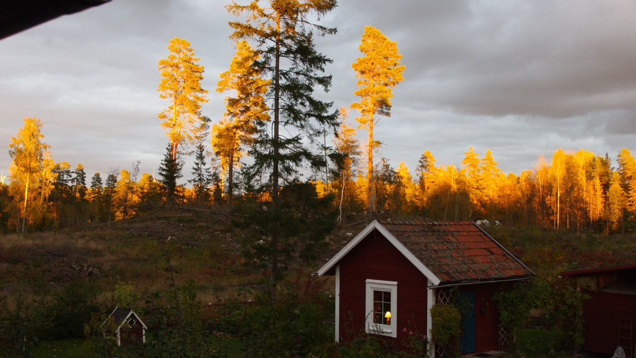 Photo of Buildings in Vingaker