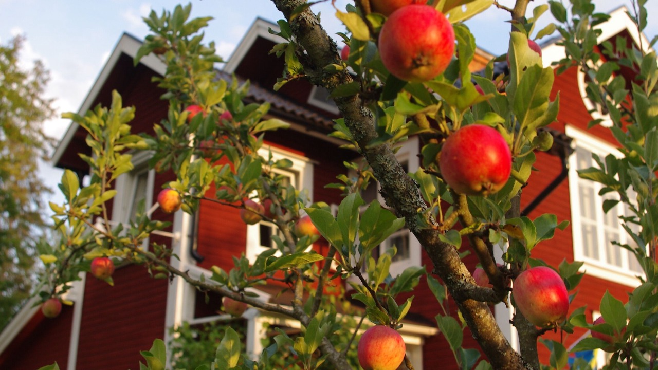 Photo of Outdoor in Vingaker