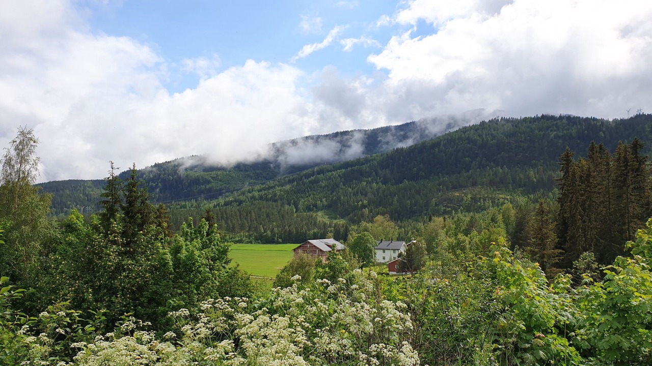 Photo of Outdoor in Eggedal