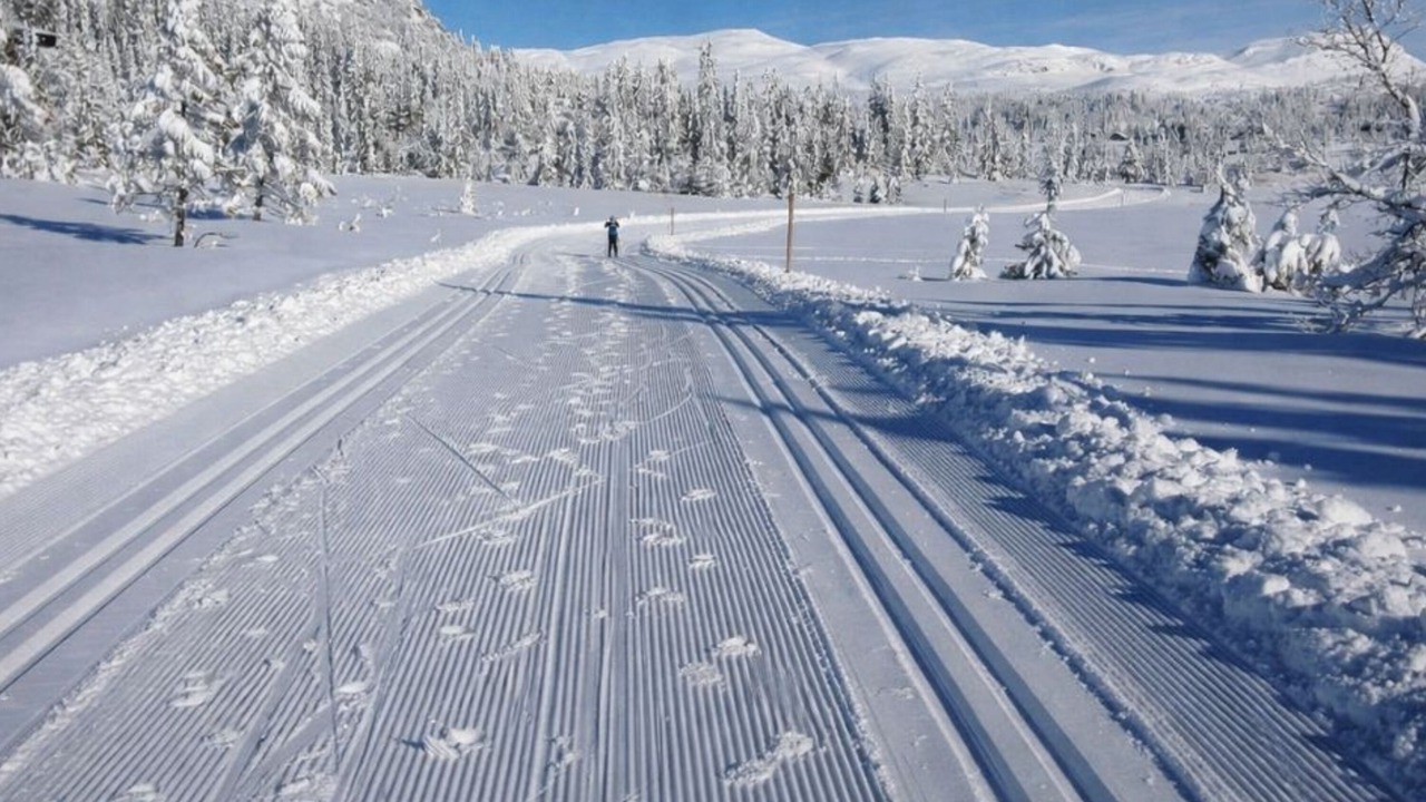 Photo of Others in Eggedal