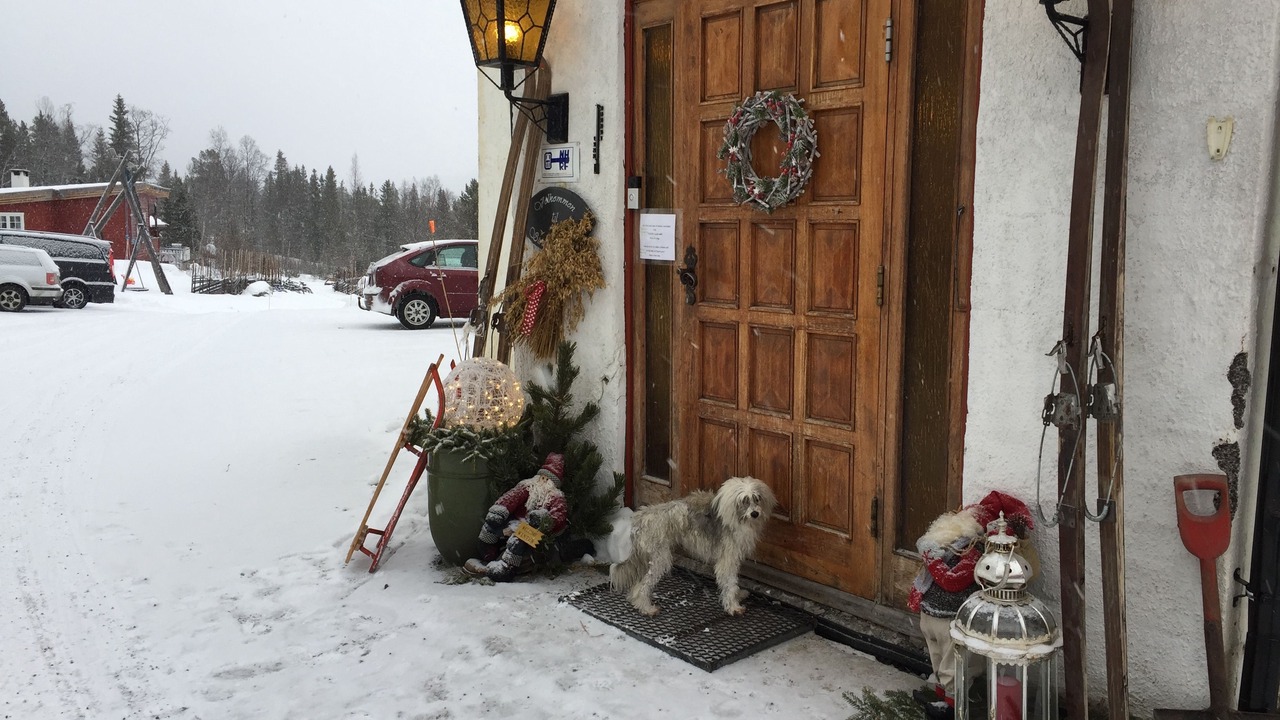 Photo of Outdoor in Espedalen
