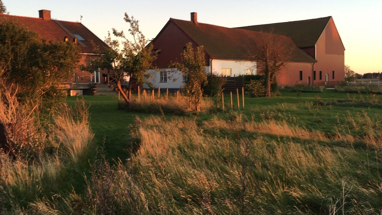 Photo of Outdoor in Borrby