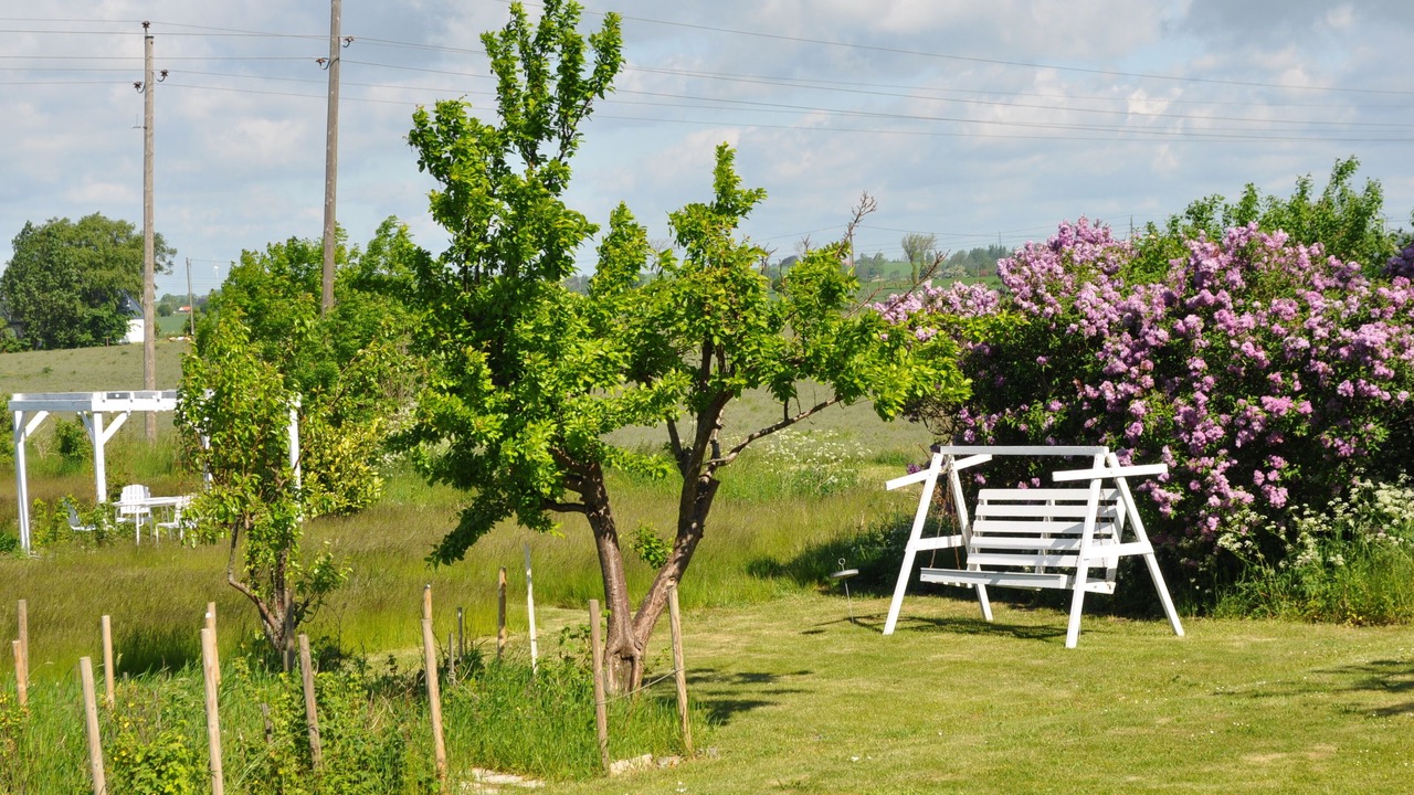 Photo of Outdoor in Borrby