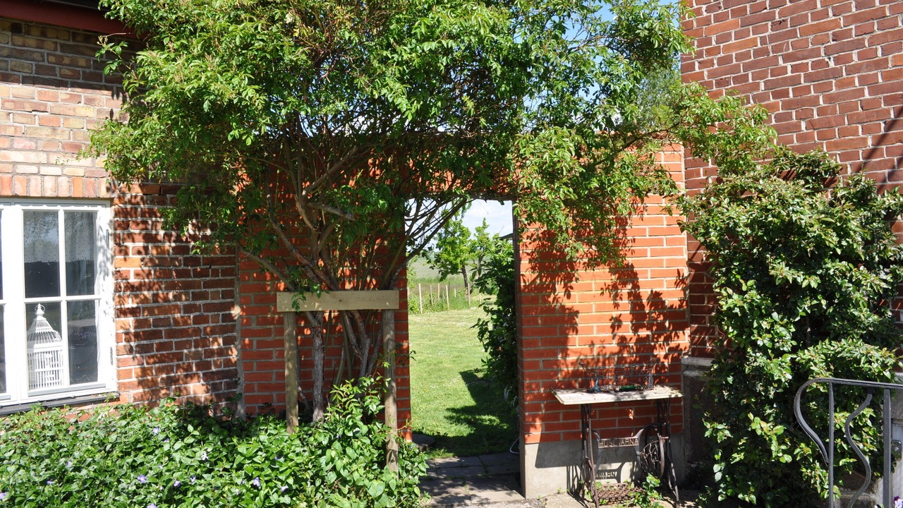 Photo of Outdoor in Borrby