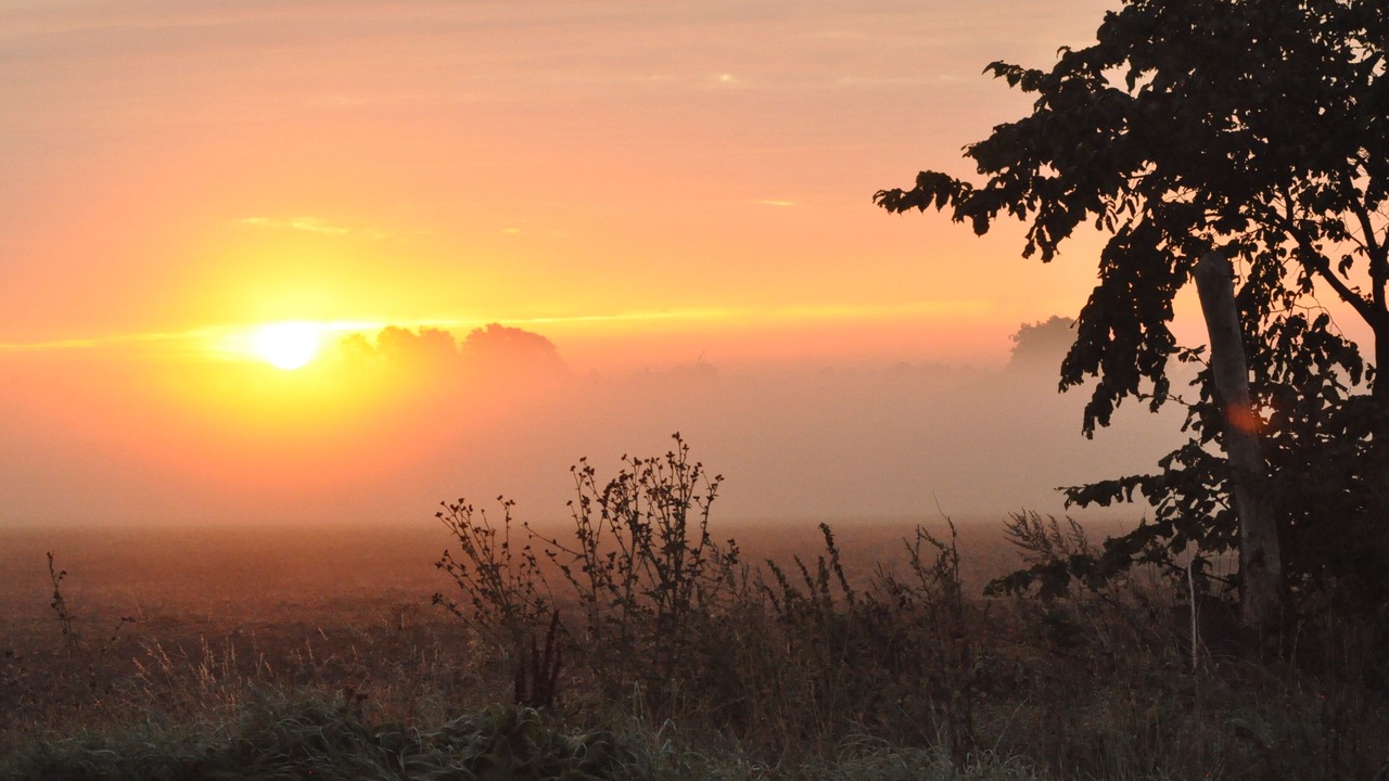 Photo of Outdoor in Borrby