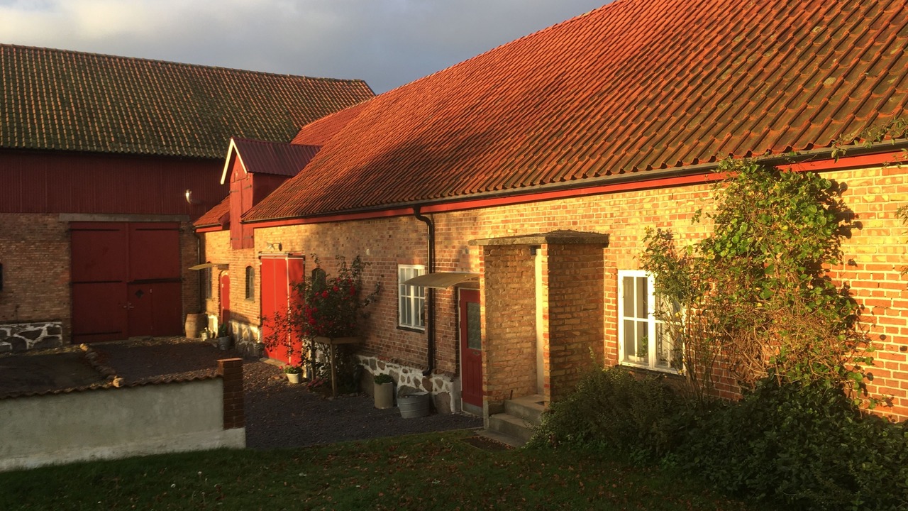 Photo of Outdoor in Borrby