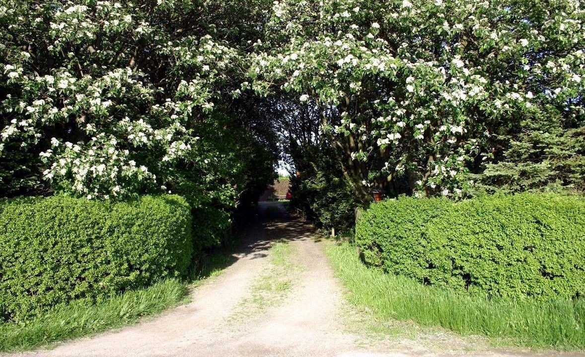 Photo of Outdoor in Lund