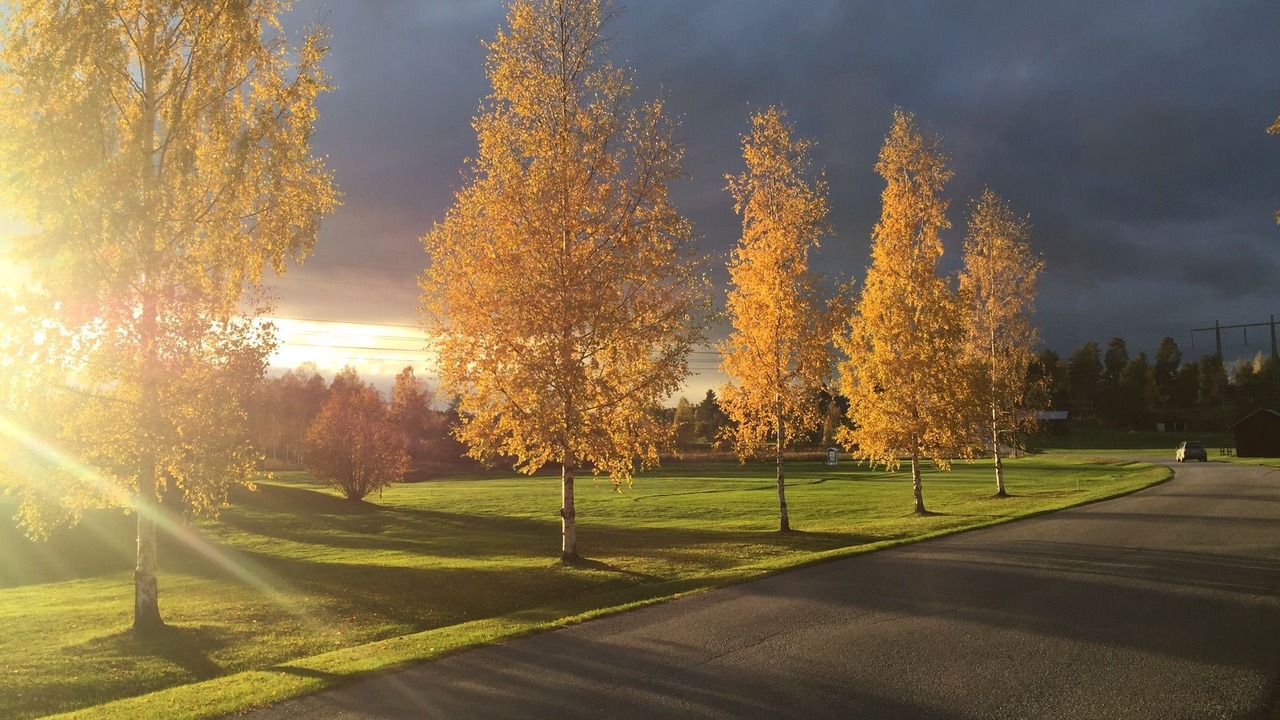 Photo of Outdoor in Bollnas Municipality